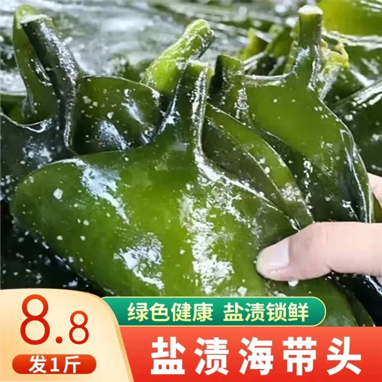 【8，8发1斤】盐渍海带头 炒菜煲汤 500g/袋