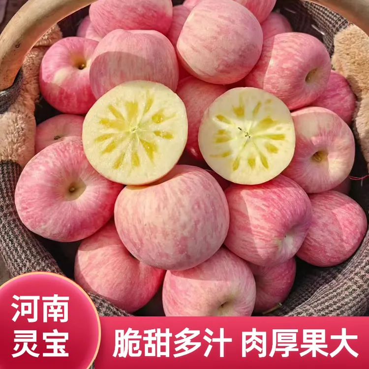 当季现摘河南冰糖心灵宝苹果中果 新鲜脆甜多汁 现发