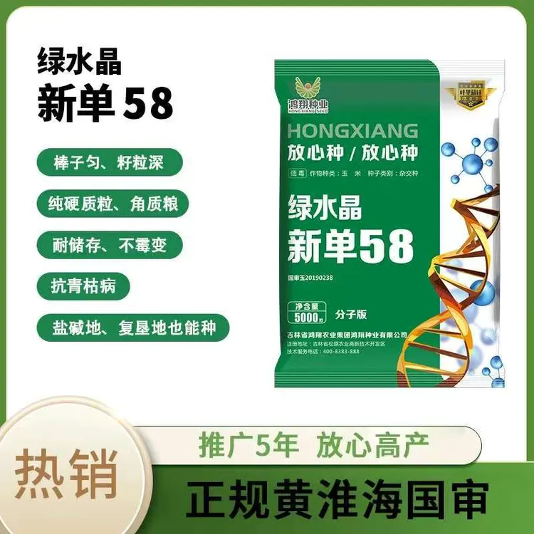 【绿水晶新单58高产玉米种子】均匀不秃尖耐密植耐旱产量高抗倒伏