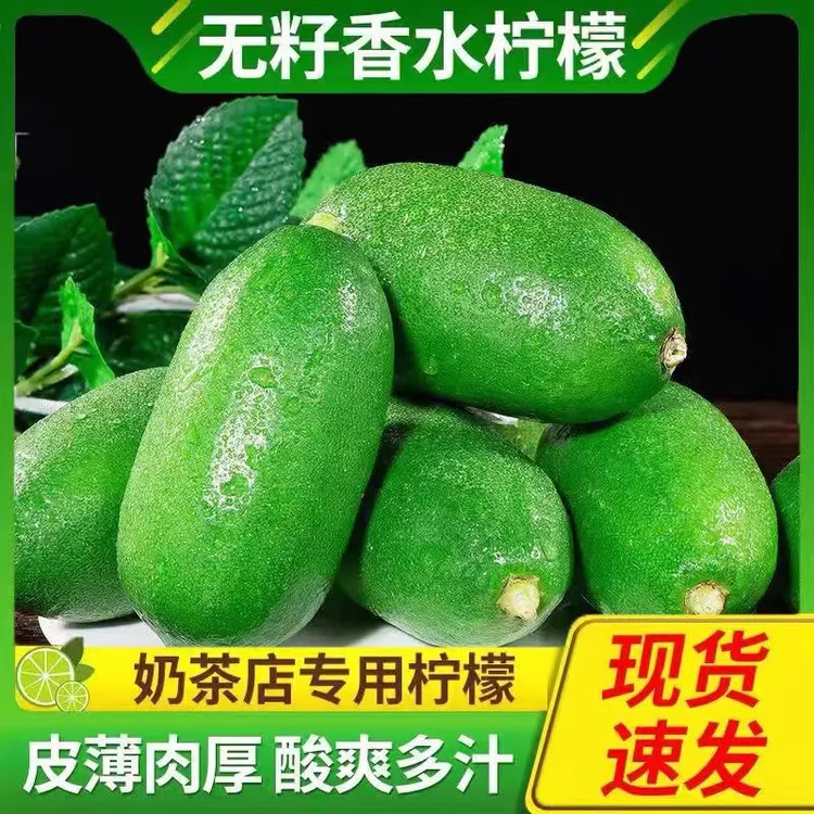 【曹哥福利】香水无籽青柠檬新鲜水果现摘子弹头一级皮薄奶茶店专用