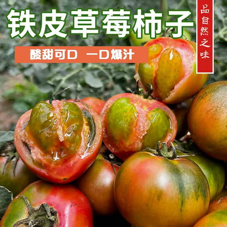【新客福利】高品质多汁铁皮西红柿自然熟草莓番茄 孕妇水果
