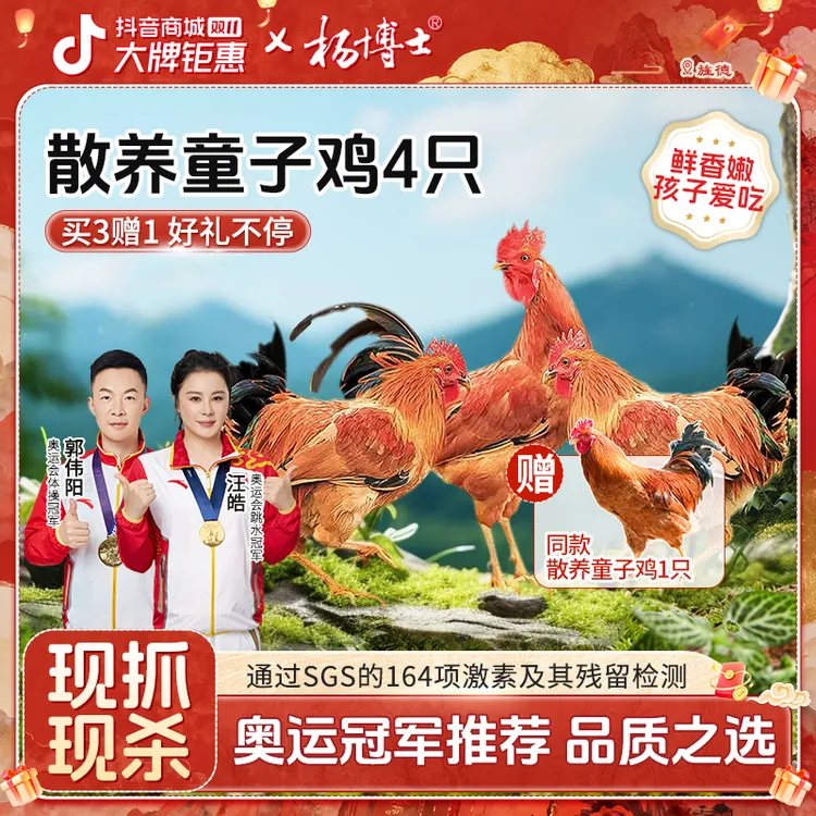【4只囤货装】杨博士深山放养低脂土鸡童子鸡高蛋白嫩 包冰率不含冰