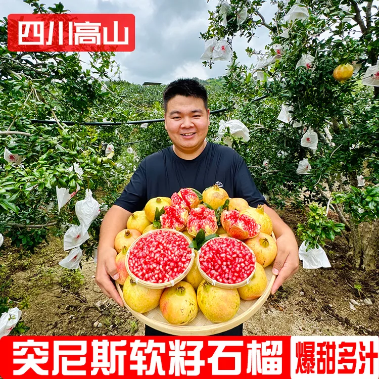 2025年头茬四川高山突尼斯软籽新鲜现摘现发石榴应季当季水果整箱