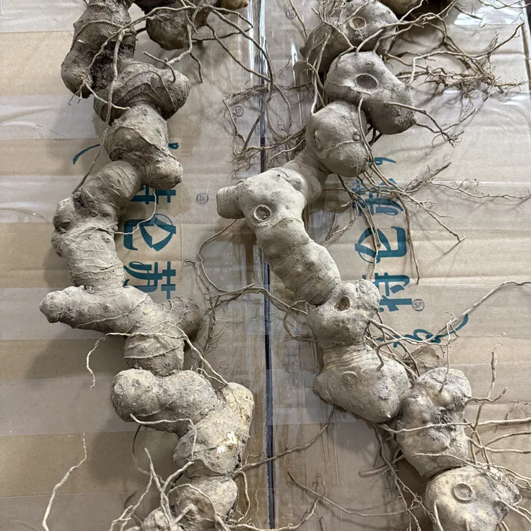 生鲜类根茎类山货