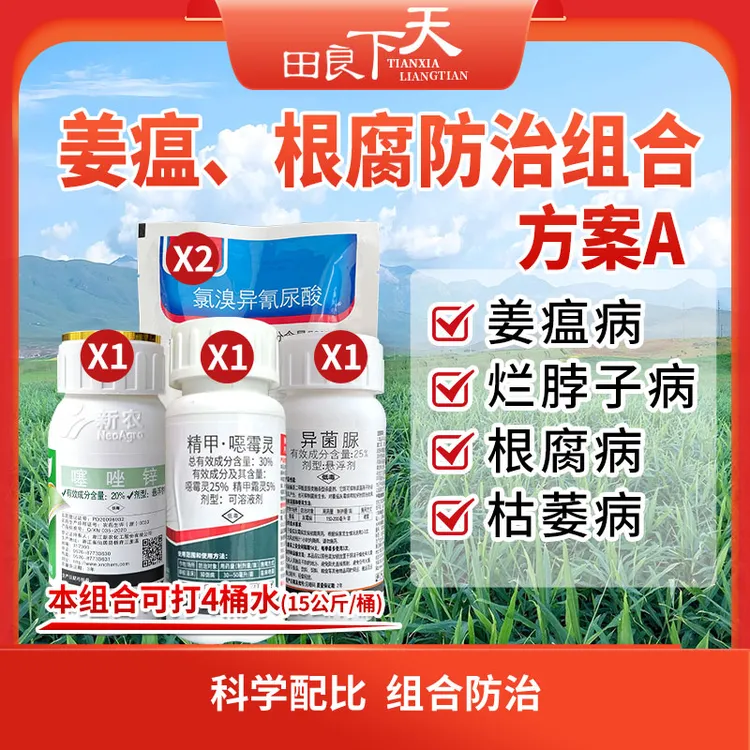 姜瘟、根腐病防治组合方案A/B   姜瘟病 烂脖子病 根腐病 茎基腐病