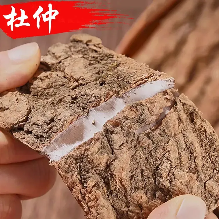 杜仲树龄厚肉拉丝皮煲汤泡茶煮水无熏硫粗皮杜仲茶