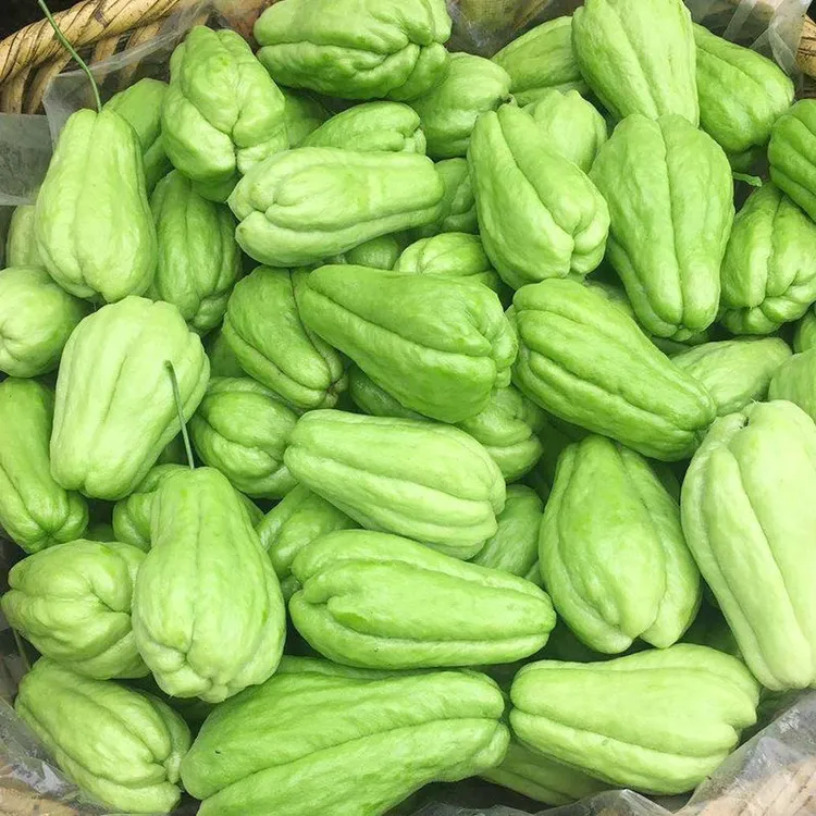 现摘云南新鲜佛手瓜福寿瓜洋丝瓜捧瓜新鲜蔬菜