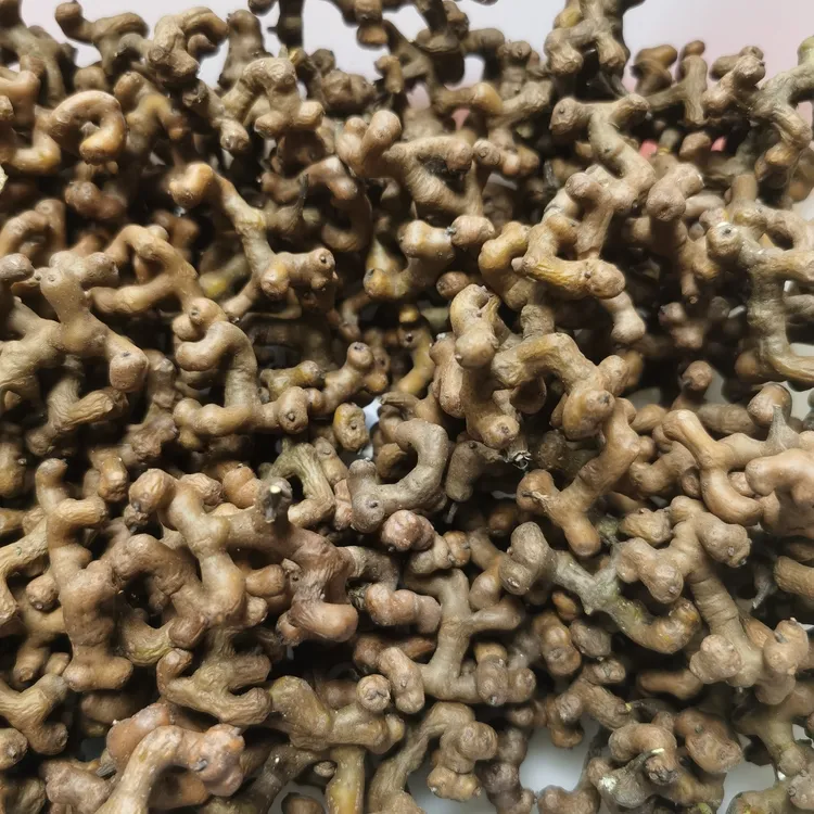 【去枝去籽】精选秦岭拐枣果去枝去籽多规格包邮