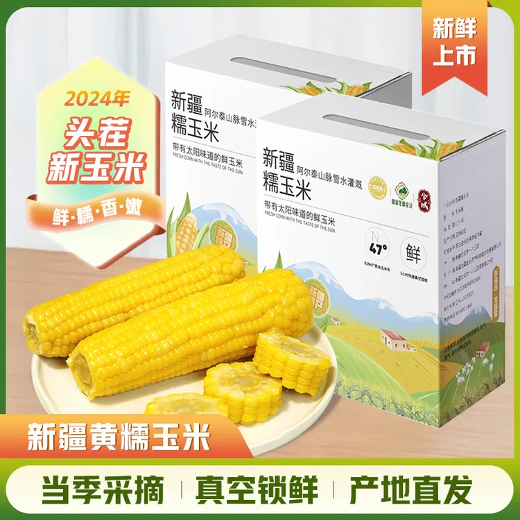 兮域【新疆包邮】黄糯玉米应季甜糯玉米棒礼盒装水果蔬菜香甜真空