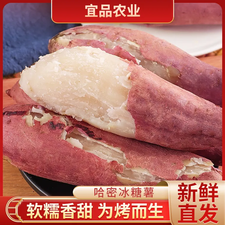 【哈密冰糖薯】宜品农业绿色食品红薯番薯粉糯香甜冰糖心净重5斤商品图
