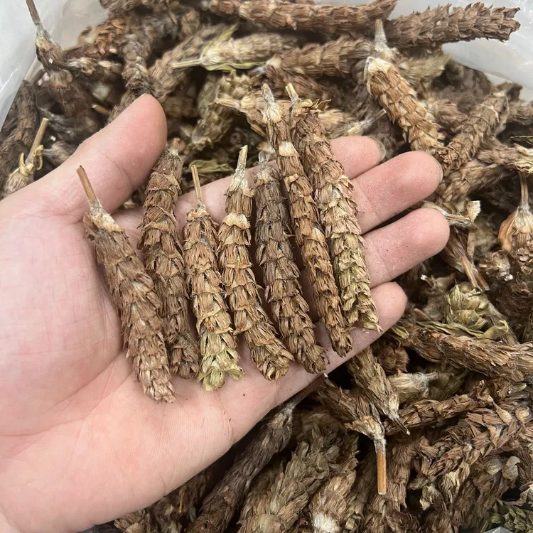 夏枯球夏枯草散装白毛夏古草夏苦草泡茶泡水规格150克