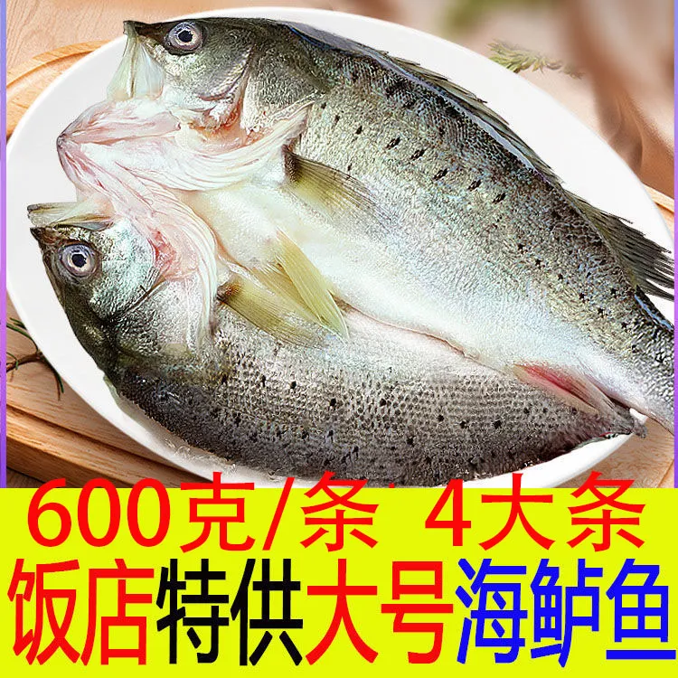 开背海鲈鱼 4条 （600g/条）七星鲈鱼新鲜冷冻鲜嫩美味生鲜鱼海鲜