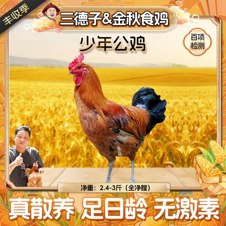 三德子 【少年公鸡1只】生态散养土鸡120天公鸡走地鸡 包冰率不含冰