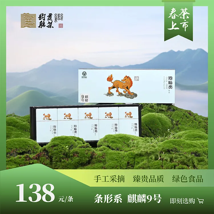 狗脑贡2025年麒麟绿茶明前一叶茶50g条形买一赠一（赠2024年同款）