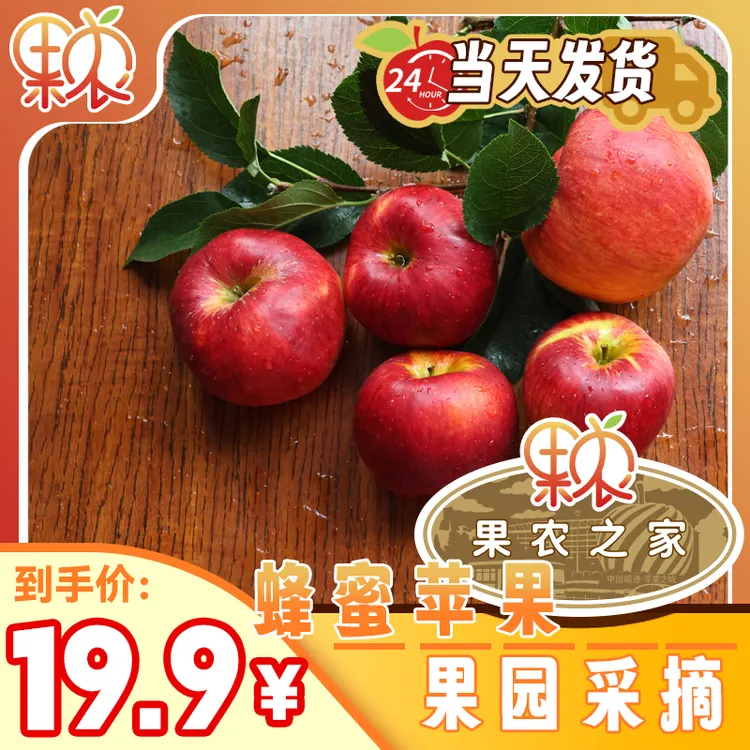 云南昭通红露蜂蜜苹果新鲜应季脆甜冰糖心水果现摘现发