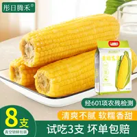 （试吃3支）东北新鲜现摘粘糯玉米拉丝黄糯玉米8支*240g每支
