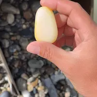 圆润饱满无瑕疵的