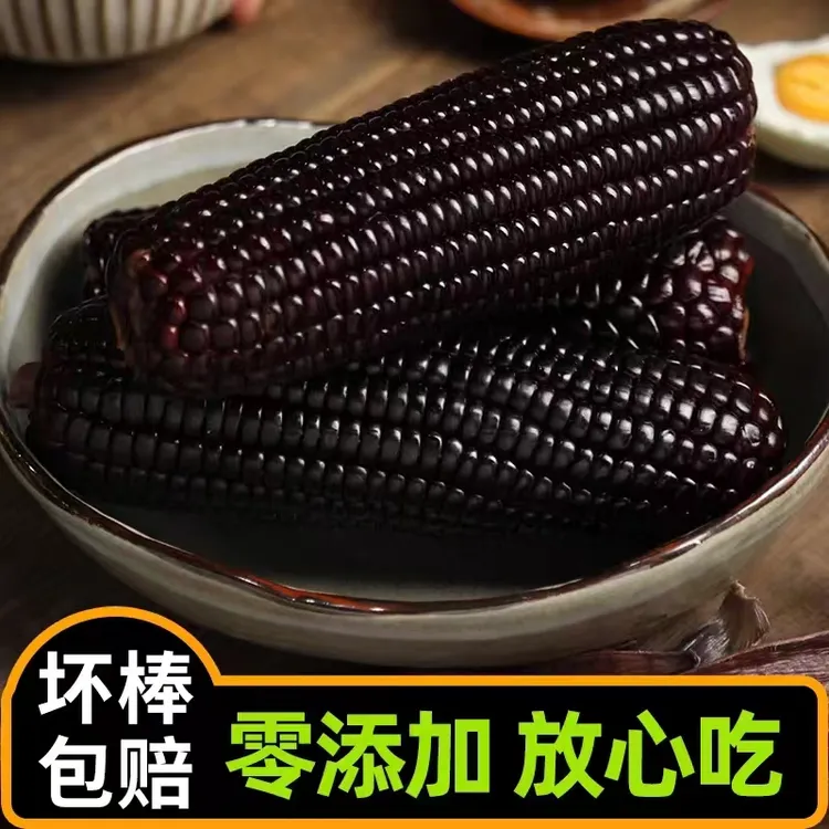 【试吃2根】东北当季头茬黑糯玉米一箱12根5.5-6斤 W