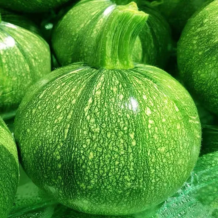 新鲜云南当季西葫芦时令小圆瓜批发蔬菜绿皮新鲜南瓜青皮圆形包邮