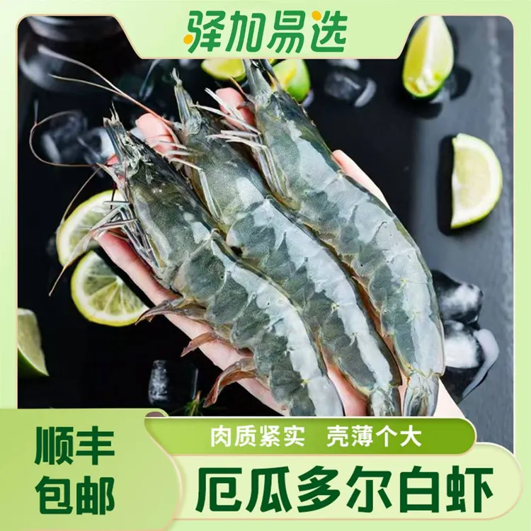 【厄瓜多尔白虾】新鲜盐冻大虾单只冷冻锁鲜1.65KG/盒NH