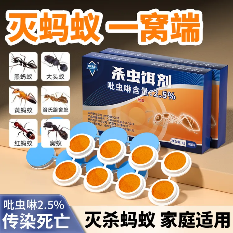 灭蚂蚁专用药杀虫饵剂引诱取食非无毒一窝端家用室内去除杀蚂蚁药