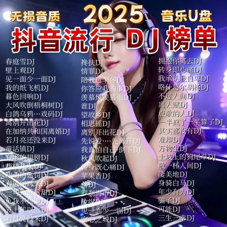 网络流行中文DJ歌曲车载u盘2025新款dj劲爆嗨曲即插即用音乐u盘