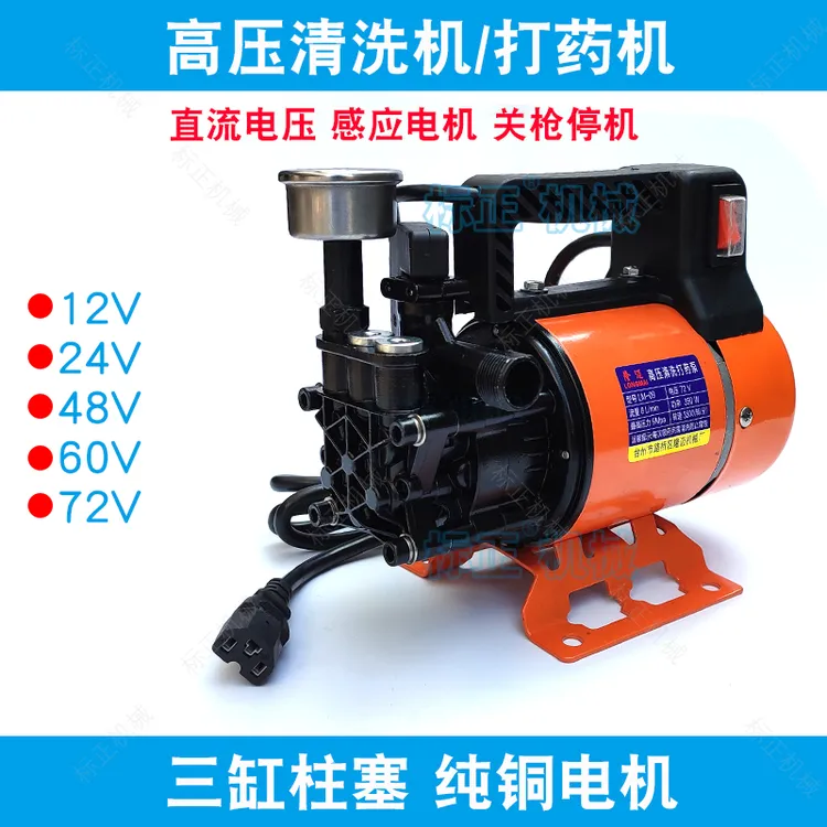 洗车机家用高压便携式清洗机12V24V60V72V电动洗车机养殖场喷洗机
