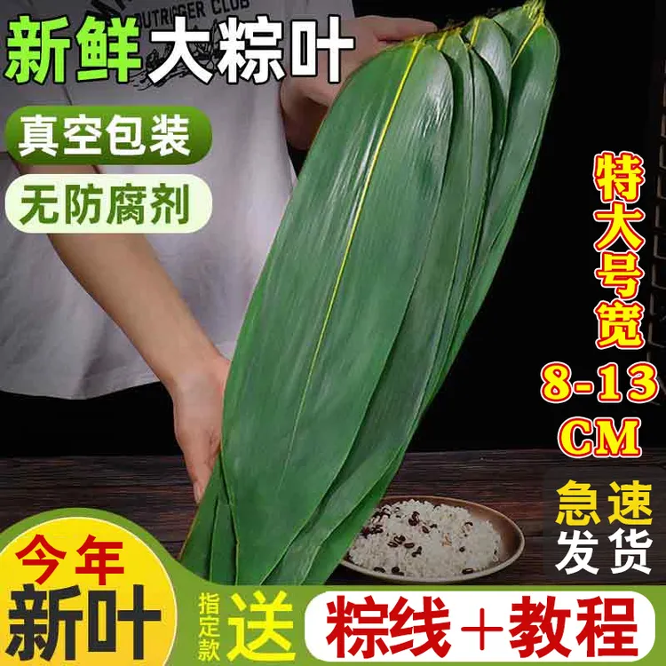 鼎橙天然新鲜粽叶箬叶粽子叶特大号真空专用粽叶大号竹叶包粽子