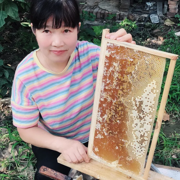 蜂争疯蜂争疯野生槐花蜜纯正天然自然成熟42度新鲜大山特产