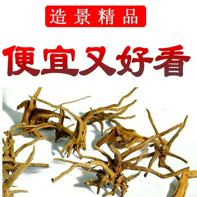 鱼缸水缸造景妖精森林景观素材莫斯树形沉木杜鹃根树枝厂一件