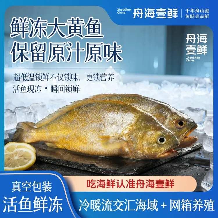 【单条装】鲜冻大黄鱼舟海壹鲜黄金水道生态牧养大黄鱼顺丰包邮
