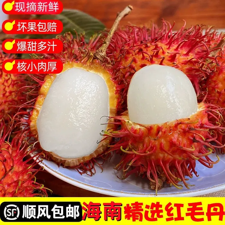 【顺丰冷链】海南红毛丹新鲜毛荔枝水果当季热带水果大果鲜荔枝大果