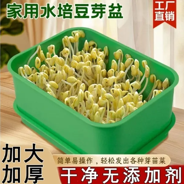 豆芽盆家用发芽豆芽机豆芽菜盘水培育苗盆家庭阳台种植蔬菜发芽盆