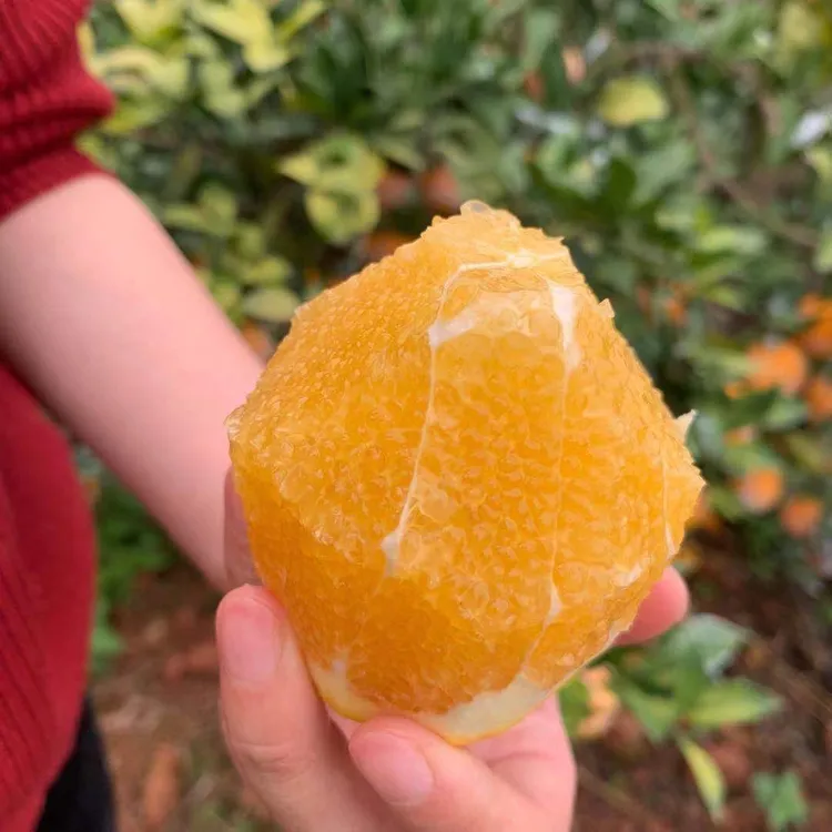 江西赣南脐橙石灰橙10斤装新鲜采摘应季水果顺丰/京东包邮