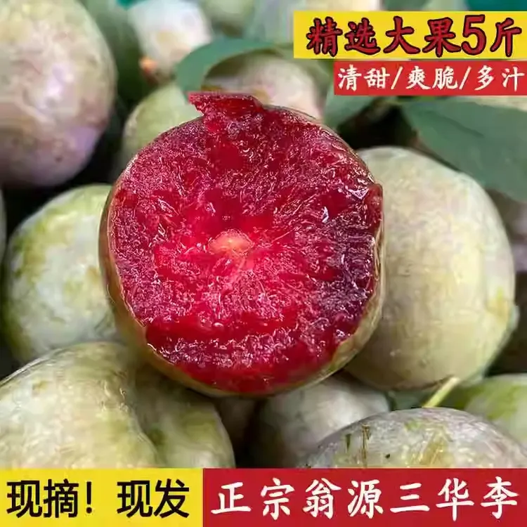 正宗韶关翁源三华李现摘新鲜精选大果5斤甜脆包邮孕妇水果红心李