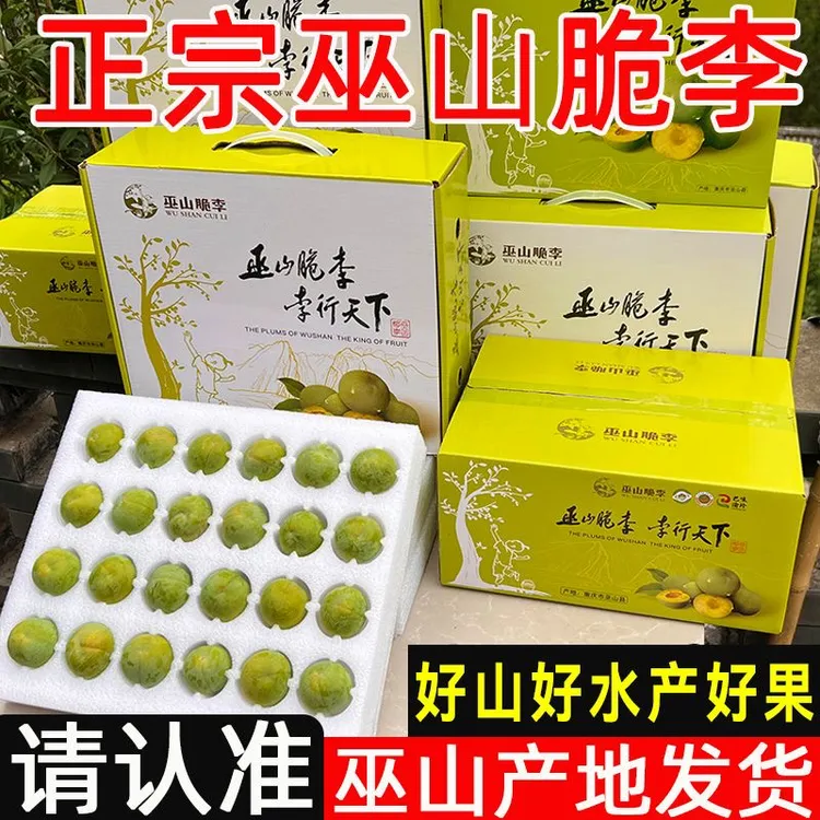 巫山脆李新鲜现摘脆甜多汁脱核当季李子水果夏日李子水果