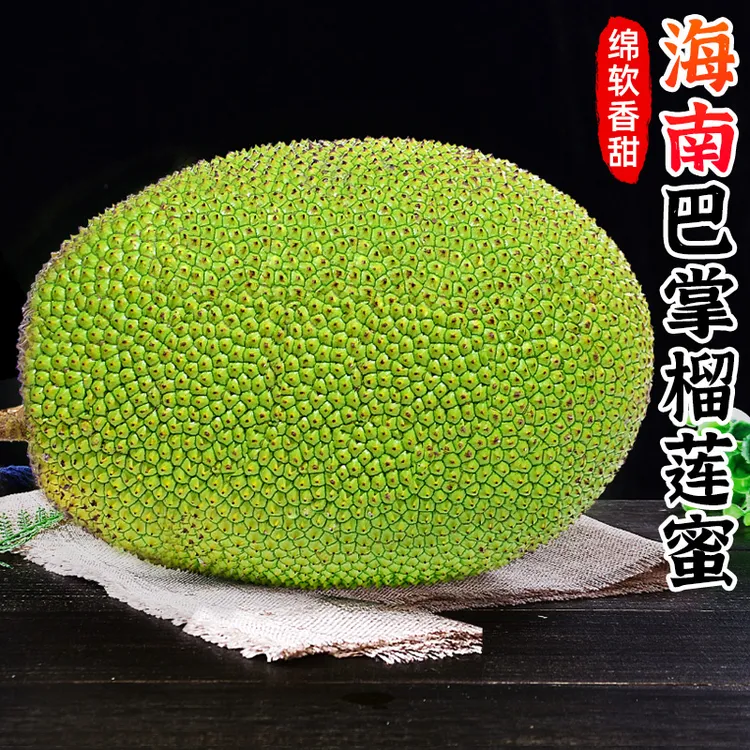 【放熟再吃】海南巴掌榴莲蜜2-9斤香甜软糯带壳湿包新鲜热带水果