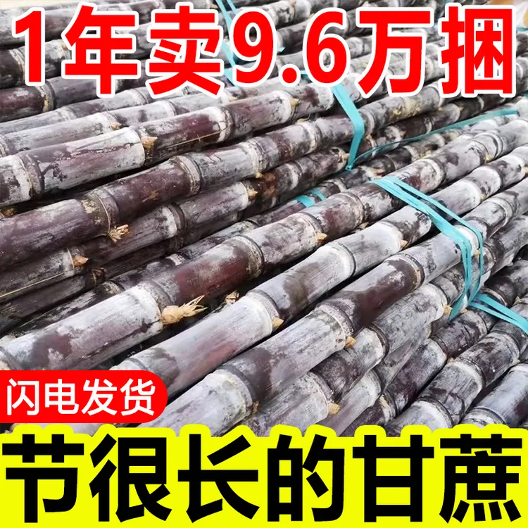 广西正宗黑皮水果甘蔗带箱5斤9斤新鲜现砍应季水果脆甜多汁