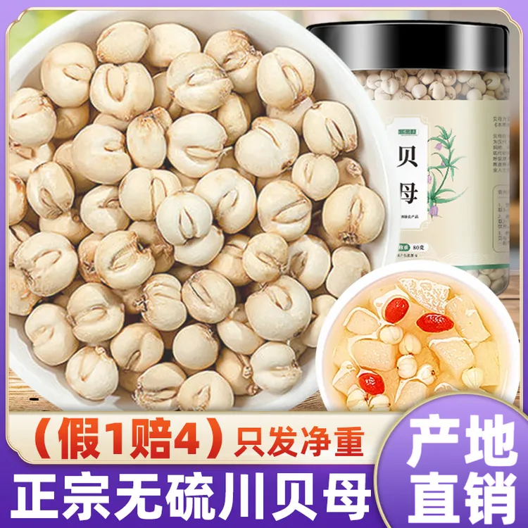 【四川贝母产地直销】正宗无硫阿坝川贝母粒配雪梨片枇杷泡水磨粉喝
