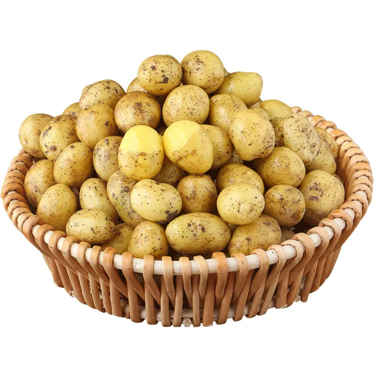 武隆现挖小土豆新鲜黄心土豆批农家自种洋芋马铃薯粉糯