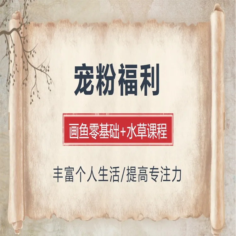 画鱼零基础+水草课程