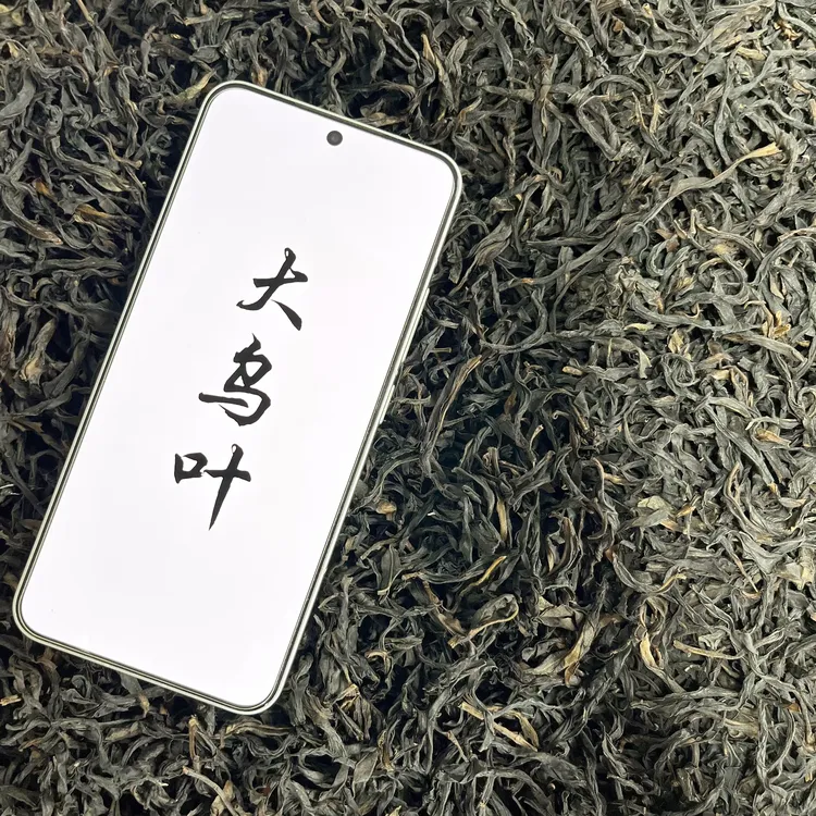 潮州凤凰单枞茶【大乌叶】高香清香型单丛口粮茶正春大乌叶