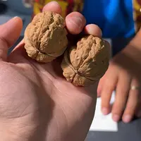 文玩核桃把件354号疙瘩包