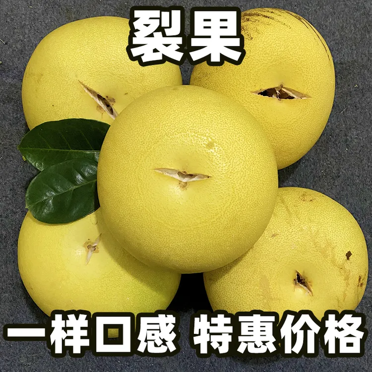 【裂果】玉环文旦【收到尽快吃只发附近省份】【一样的口感特惠的价格】