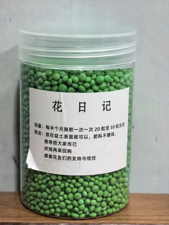 三角梅爆花复合肥促分枝养冠幅