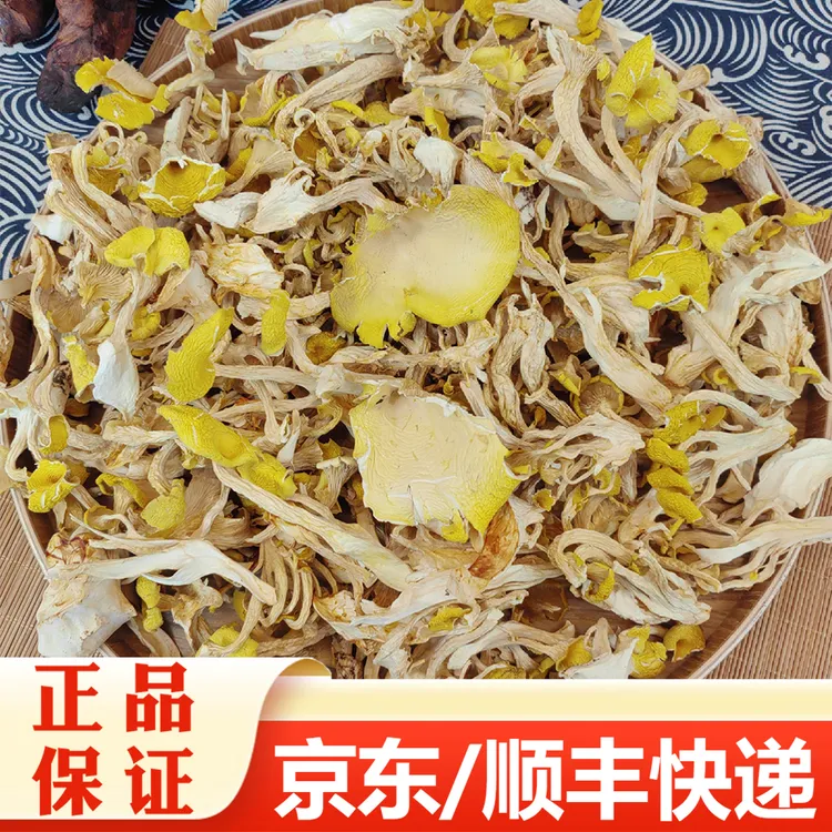 【精选】鸡油菌干货（易碎介意慎拍）