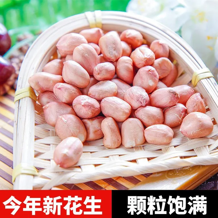 308白沙罗果花生种子米手剥花生仁精选大颗粒优质色选提纯