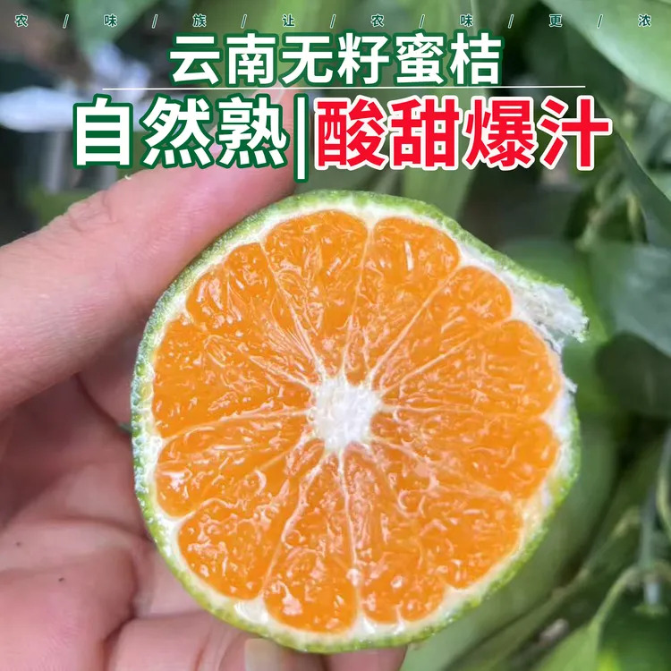 云南蜜桔玉溪青皮蜜橘新鲜桔子应季孕妇酸甜水果桔橘整箱正宗蜜桔