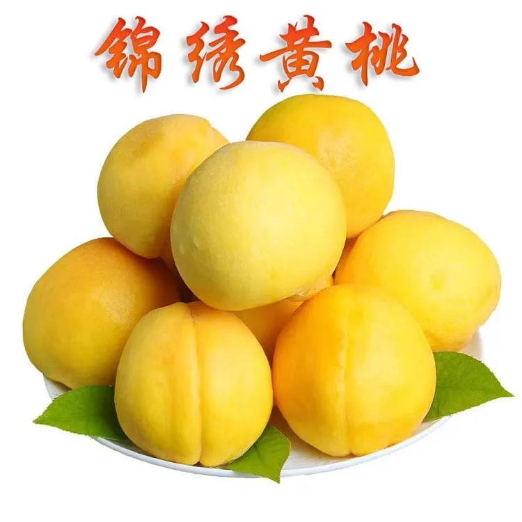 锦绣黄桃新鲜应季水果脆甜多汁现摘现发