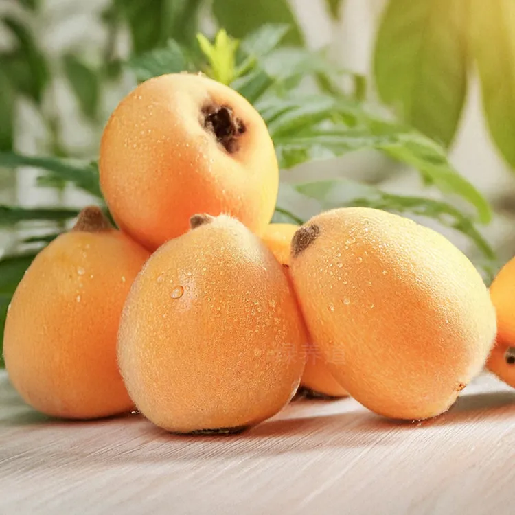 【顺丰快递】云南蒙自枇杷5斤 新鲜水果2斤